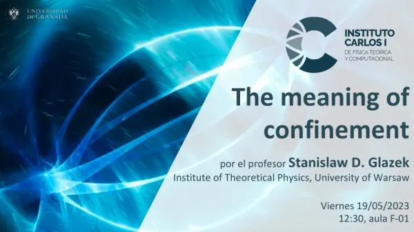 The meaning of confinement