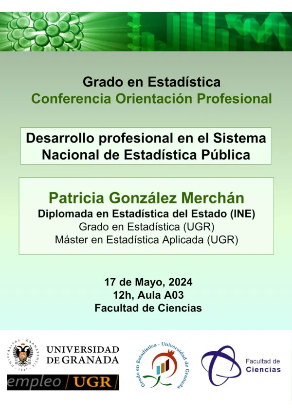Desarrollo profesional en el Sistema Nacional de Estadística Pública