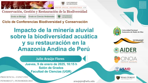 Impacto de la minería aluvial sobre la biodiversidad acuática y su restauración en la Amazonia Andina de Perú  