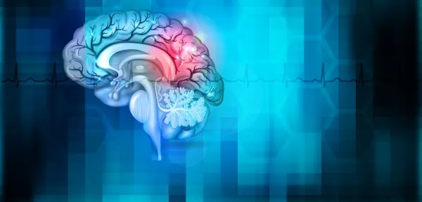 Mathematical modelling of brain arousal systems using functional data approaches based on ICA.