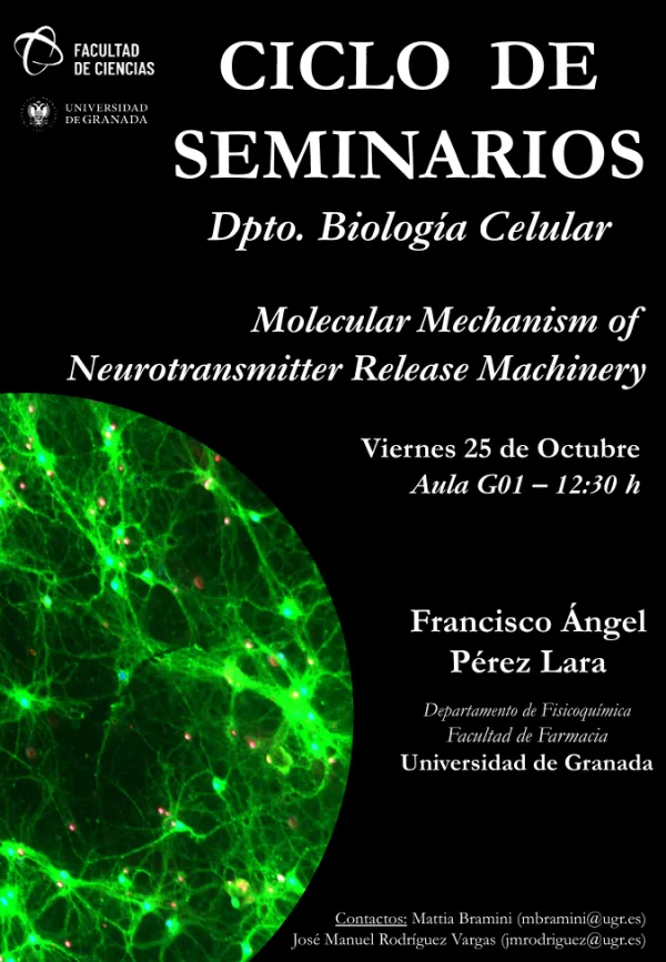 Molecular Mechanism of Neurotransmitter Release Machinery