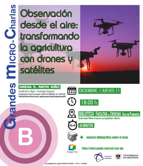 Observación desde el aire: transformando la agricultura con drones y satélites