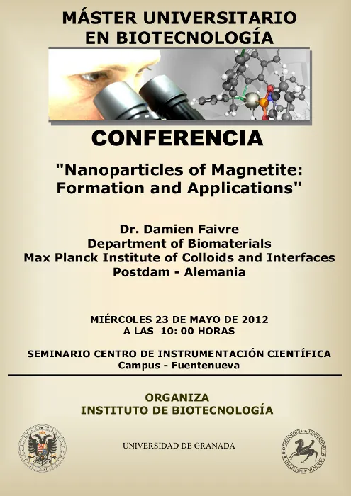 Nanoparticles of Magnetite: Formation and Applications