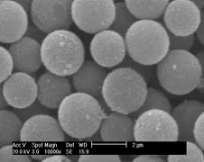 Protein-coated polystyrene nanoparticles: characterization of the complexes by electrophoretic and stability measurements in presence of big hydrophobic ions