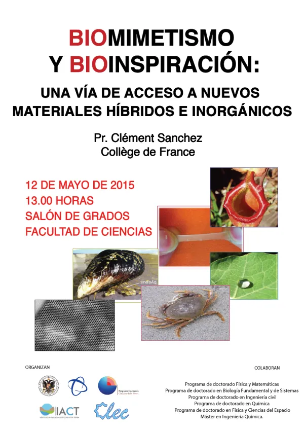 Biomimetismo y Bioinspiración: Una via de acceso a nuevos materiales híbridos e inorgánicos