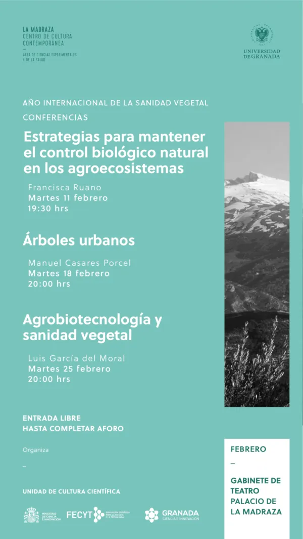 Árboles urbanos