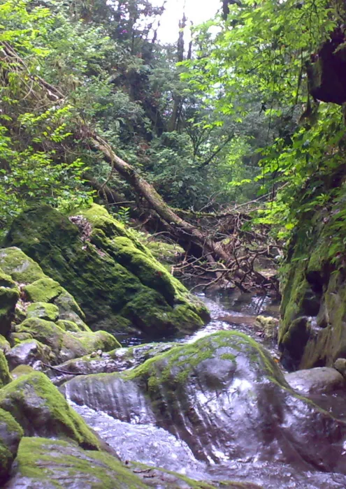 Afrontando los desafíos globales de la conservación a través de herramientas basadas en el conocimiento