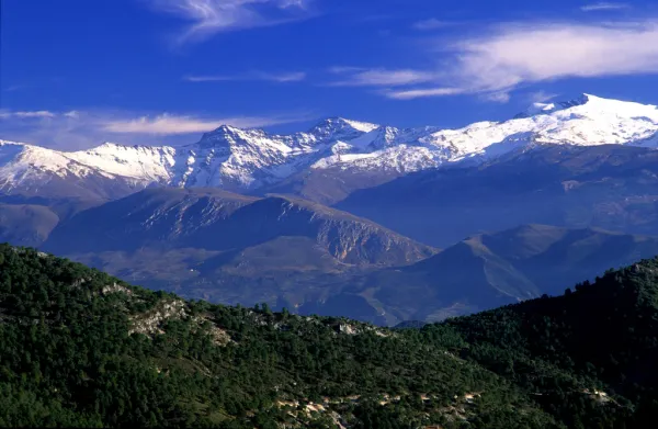 e-Ciencia para la conservación de la biodiversidad 