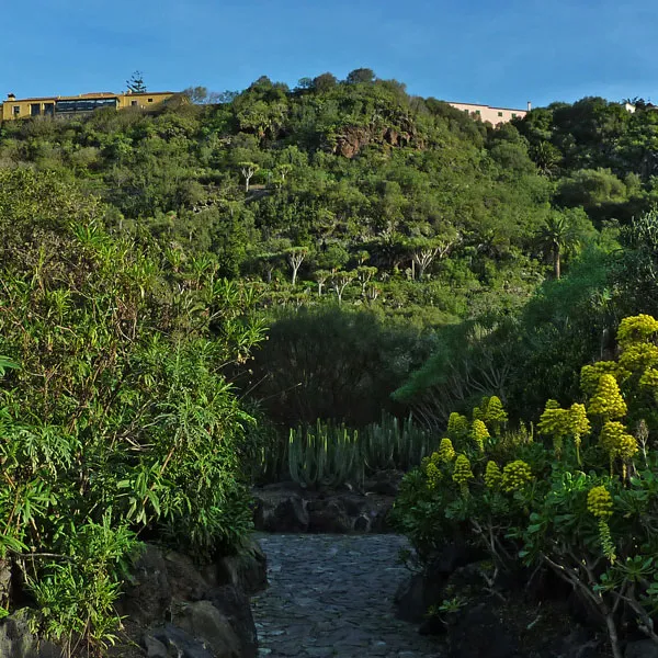 Especies de amplia distribución en islas: interés en estudios evolutivos y en la conservación
