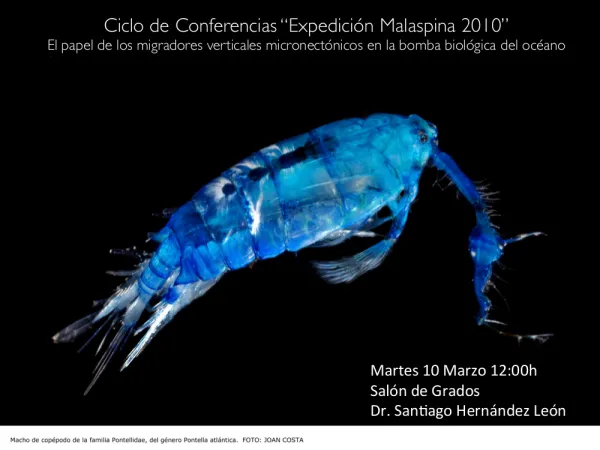 El papel de los migradores verticales micronectónicos en la bomba biológica del océano
