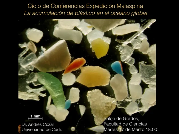 La acumulación de plástico en el océano global