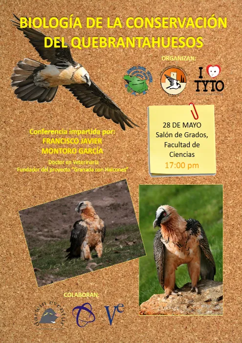 Charla gratuita: Biología de la Conservación del Quebrantahuesos