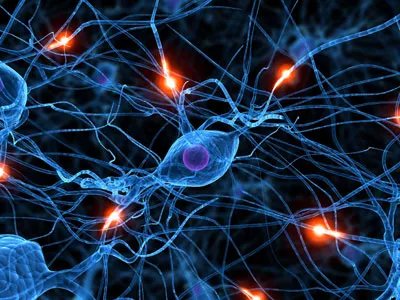 Conocimiento y emulación de redes neuronales