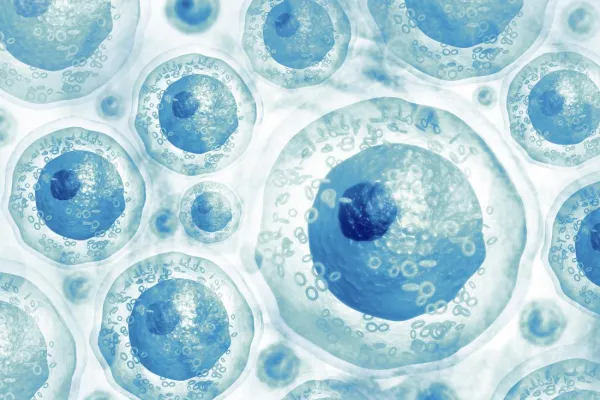 Stem Cells: their role in tissue homeostasis and their potential in regenerative medicine