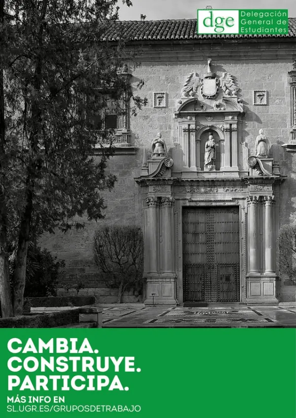 Participa como voluntario en los Grupos de Trabajo de la DGE