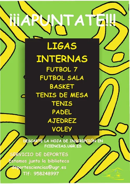 Ligas internas