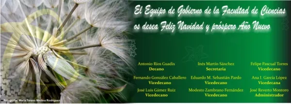 Felicitación de Navidad