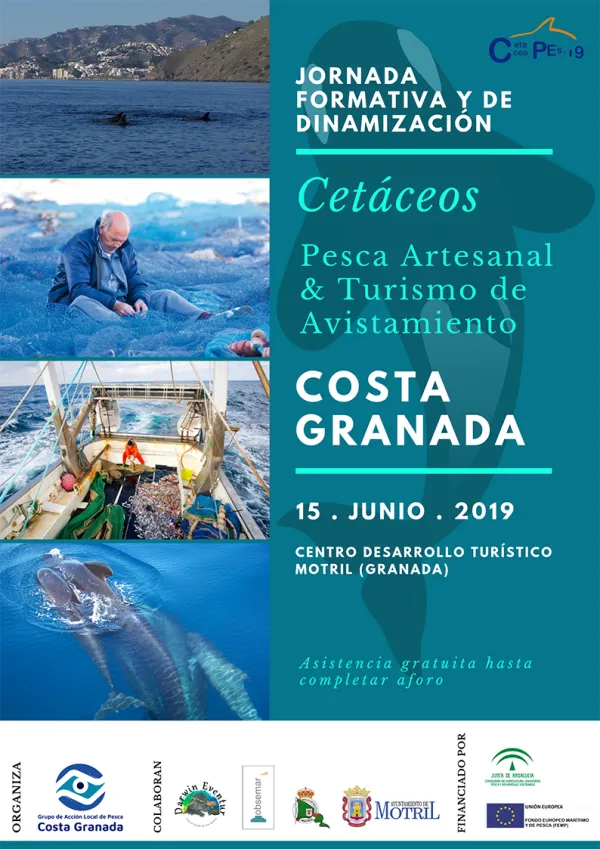 Cetáceos, pesca artesanal y turismo de avistamiento