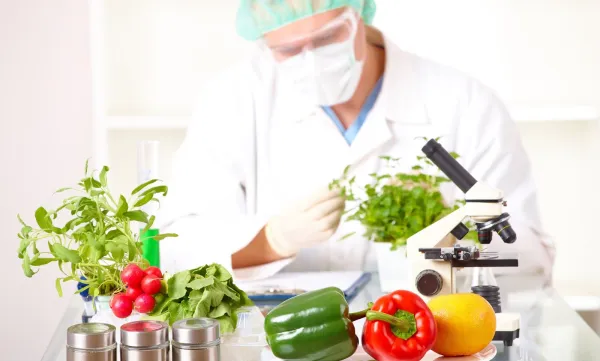 I Jornada: Investigación en Ciencia y Tecnología de los Alimentos