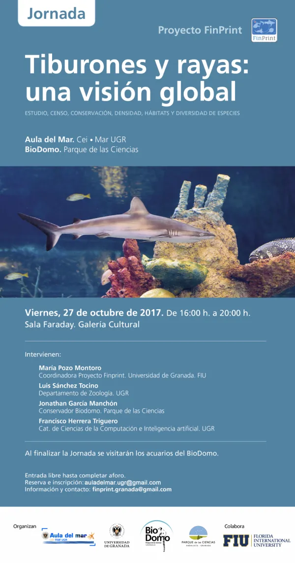 Tiburones y rayas: Una visión global
