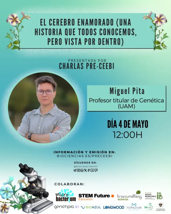 El cerebro enamorado (una historia que todos conocemos, pero vista por dentro)