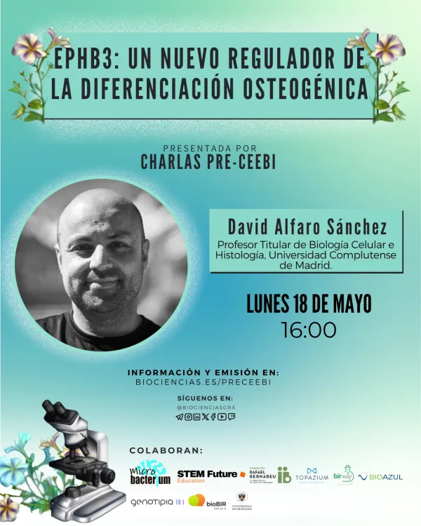 EphB3: un nuevo regulador de la diferenciación osteogénica