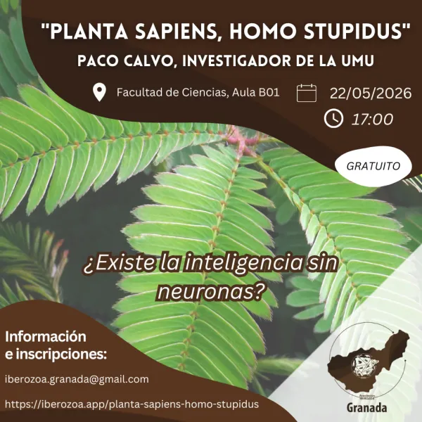 Planta sapiens, homo stupidus