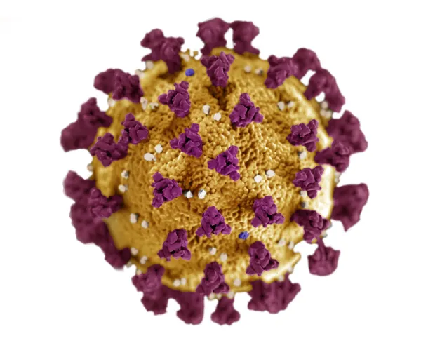 Plan de acción de los servicios administrativos de la Facultad de Ciencias con motivo del COVID-19