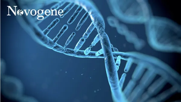 Next-Generation-Sequencing: introducción y aplicaciones en la investigación actual