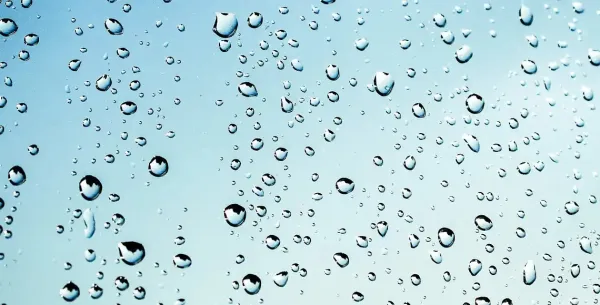 Superficies bioinspiradas para la recolección de agua atmosférica