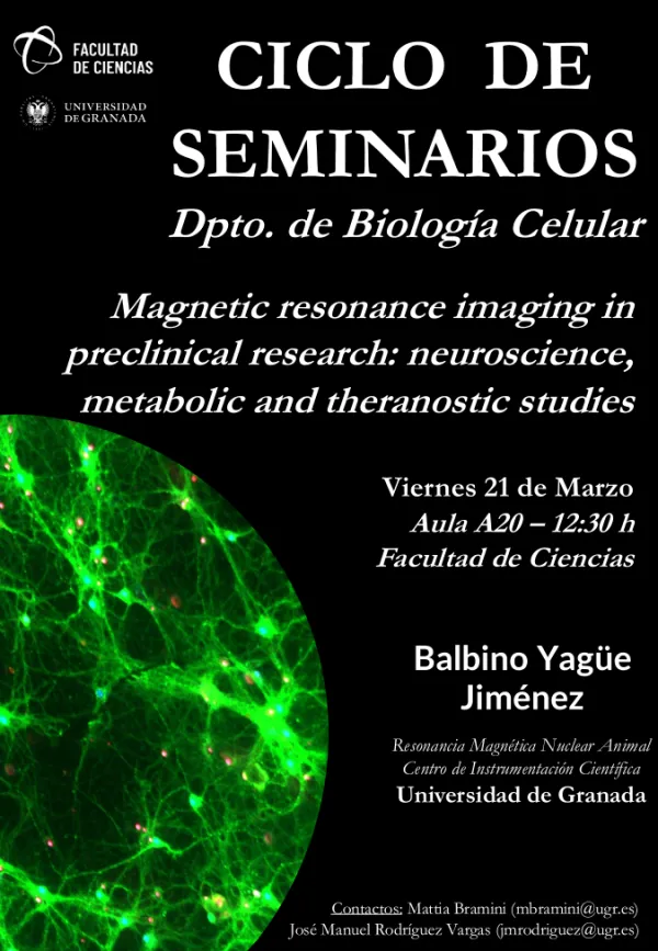 Magnetic resonance imaging in preclinical research: neuroscience, metabolic and theranostic studies.