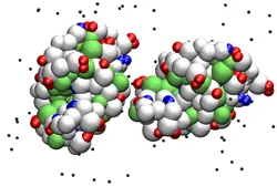 Hofmeister effects, hydrophobic forces and other non-DLVO forces revealed by AFM