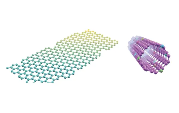 Estrategias Biomiméticas aplicadas a Bioingeniería y Tecnología de Alimentos