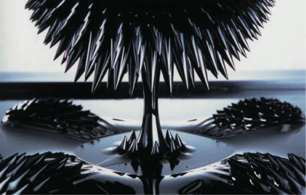 Seminario virtual "Partículas magnéticas coloidales usadas en el transporte en la micro-escala, a través de un fluido o a lo largo de interfases fluidas"