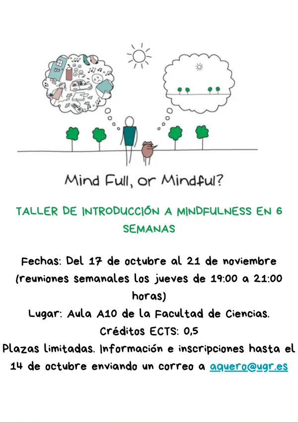 Taller de Introducción a Mindfulness en 6 semanas