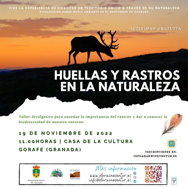 Huellas y rastros en la naturaleza