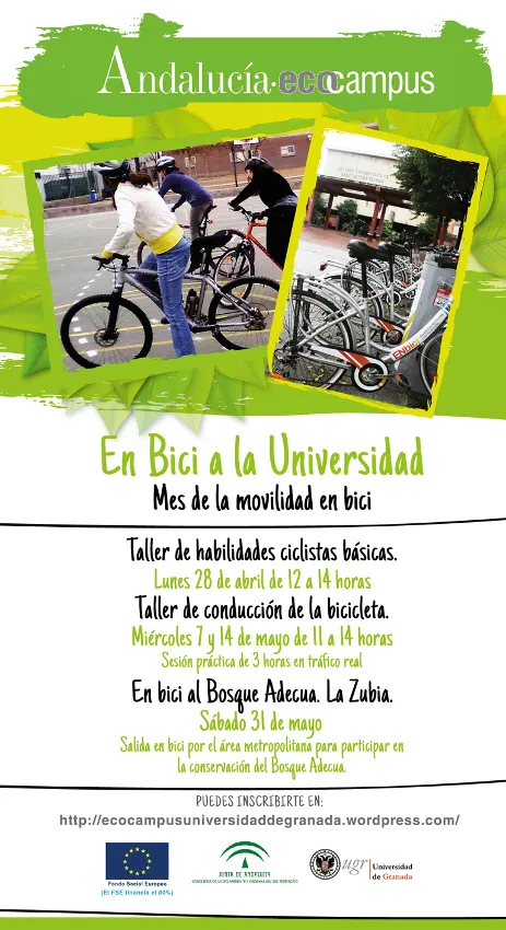 En bici a la Universidad