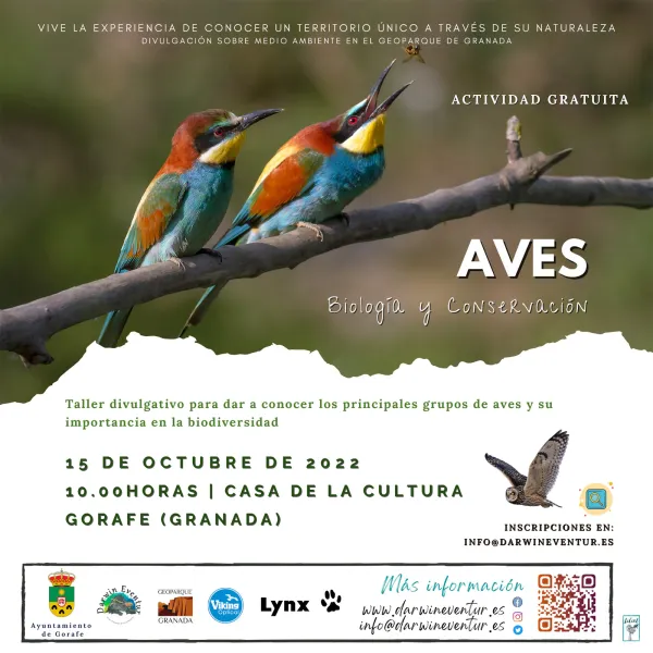 Taller gratuito "Aves: biología y conservación" en Gorafe