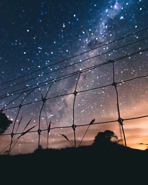 Workshop sobre Limits and Aesthetics of Physics